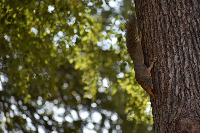 未来的关键 未来的关键