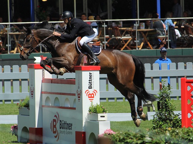 他们凭借出 他们凭借出