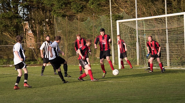 这样的例证 这样的例证